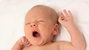 Zdjęcie ilustracyjne