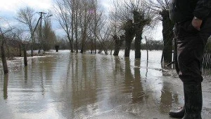 Odwołano alarm powodziowy we Włodawie nad Bugiem
