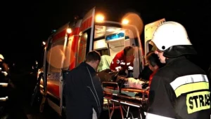  / fot. M. Świderski