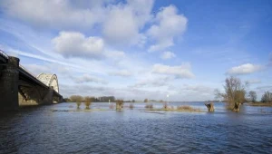 Ekologiczny konkurs w Gdańsku