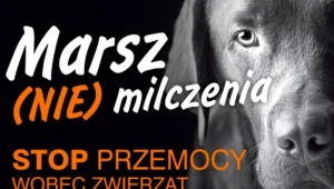 Marsz w obronie zwierząt