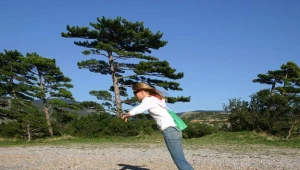 Ostrzeżenie przed silnym wiatrem