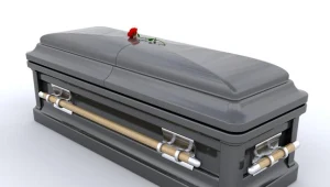 Pomysłodawcy oferują kompleksowe usługi