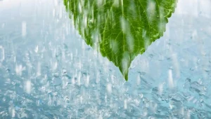 IMGW: Wzrośnie stan wód w woj. dolnośląskim