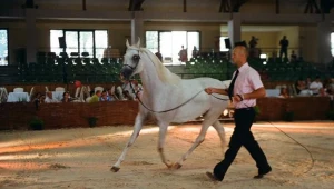 /fot. K. Małcużyński