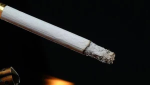 Ukryli w wacie 320 tys. paczek przemyconych papierosów