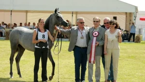 Sukces aukcji w Janowie Podlaskim