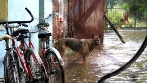 Powodzianie domagają się ustalenia winnych zalania ich domów w ubiegłym roku