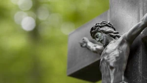 Samowolnie odkopali grób na cmentarzu