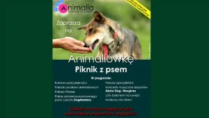 Animalówka czyli piknik z psem