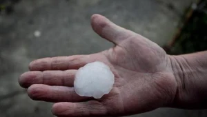 fot. Maciej Kulczyński