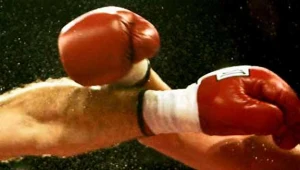 Film jest opowieścią o ukraińskich mistrzach boksu - braciach Władimirze i Witaliju Kliczko