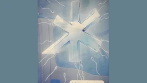 Takie plakaty wiszą na przystankach komunikacji miejskiej
/fot. Adam Górczewski