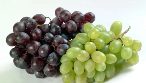 Winiarskie dożynki w Ochli