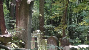 Stary Cmentarz Żydowski we Wrocławiu