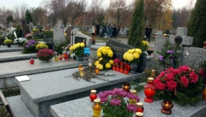 Znane i największe wrocławskie nekropolie