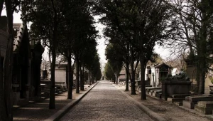 Na Stary Cmentarz Żydowski bez biletu