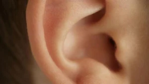 Mieszkańcy Sosnowca, Jaworzna i Łodzi wypadli najgorzej w Narodowym Teście Słuchu 2011