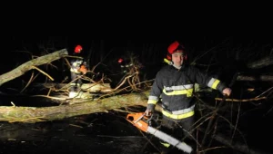 Strażacy usuwają połamane drzewa, fot. W. Basalygo