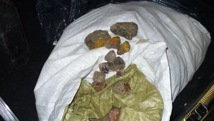 Przemycała 74 kg bursztynu, by upiększyć nim ogródek / fot. Służba Celna