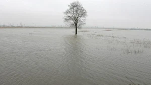 Powodzianie chcą się domagać odszkodowań w postępowaniu grupowym/fot. Radek Kolaśnik