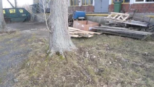 Kobieta leżała pod drzewem. Martwa / fot. TOW