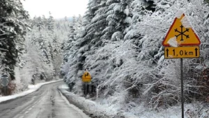 /fot. Darek Delmanowicz