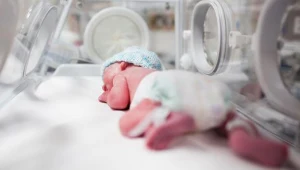 Noworodek porzucony w piwnicy