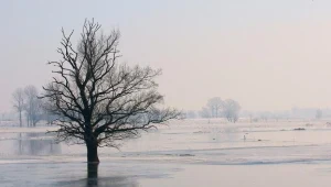 Powódź na razie nam nie grozi/fot. Stanisław Puszczyński