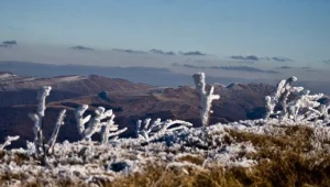 Na Połoninie Wetlińskiej w Bieszczadach  było 12 kilka stopni mrozu/fot. Wojciech Zatwarnicki