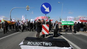 Protest rolników na 222. kilometrze drogi krajowej numer 1/fot. Tytus Żmijewski