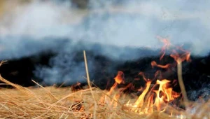 Wypalanie traw to na Opolszczyźnie bardzo poważny problem