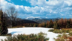 Bieszczady: Wiatr wieje z prędkością do 60 km/h