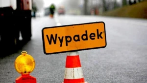 Matka i dwaj jej synowie zginęli w wypadku koło Chełmży / fot. T. Radzik