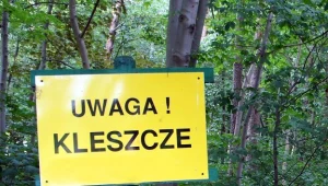 Ostrzeżenie przed wejściem do lasu / fot. J. Domiński