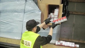 Przemyt prawie 400 tys. paczek papierosów o wartości ponad 3,5 mln zł/fot. Służba Celna