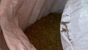 Funkcjonariusze zabezpieczyli 22 tony tytoniu warte ponad 11 mln złotych