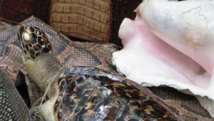 /fot. Agnieszka Wyderka