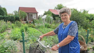 Działkowcy boją się o swoje ogrody