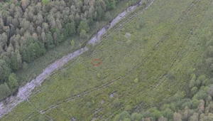 Na bagnach BPN zgubił się 52-letni turysta/fot. Podlaski Oddział Straży Granicznej