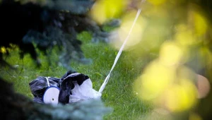 Policja w Piotrkowie Trybunalskim ustala okoliczności zdarzenia, fot. Grzegorz Michałowski