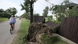 Straty po nawałnicach są bardzo duże /fot. Paweł Supernak