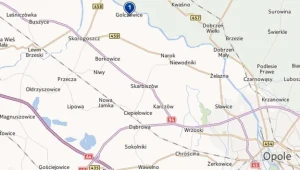 Do wypadku doszło w miejscowości Golczowice na Opolszczyźnie/fot. mapy.interia.pl