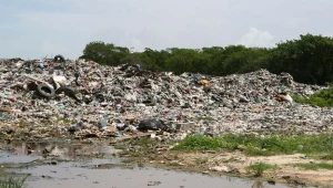 To coraz częstszy widok w polskich gminach.