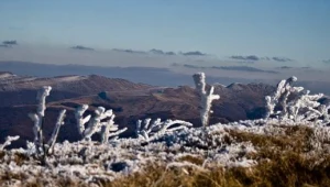 /fot. Wojciech Zawartnicki