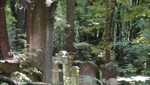 Renowacja i upamiętnienie cmentarzy żydowskich