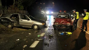 Miejsce wypadku samochodowego w Śliwnicy /fot. Darek Delmanowicz