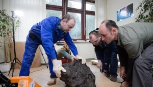 Meteoryt z terenu rezerwatu Morasko waży 261kg/fot. Jakub Kaczmarczyk