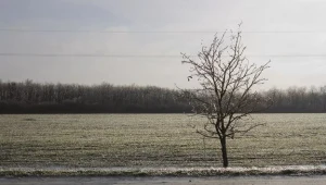 IMGW ostrzega: Będzie bardzo ślisko