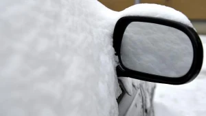 /fot. Darek Delmanowicz